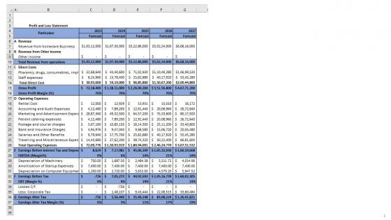 Go To Market Strategy Of Homecare Business Plan