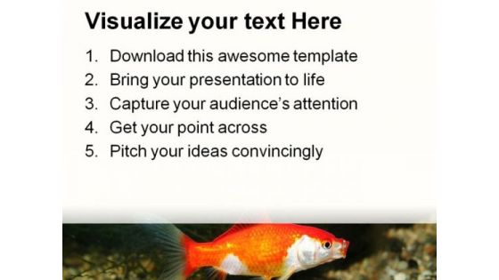 Golden Fish01 Animals PowerPoint Templates And PowerPoint Backgrounds 0211