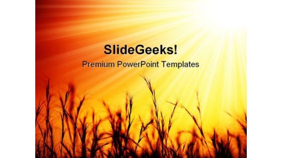 Golden Sunset Over Wheat Field Nature PowerPoint Templates And PowerPoint Backgrounds 0611