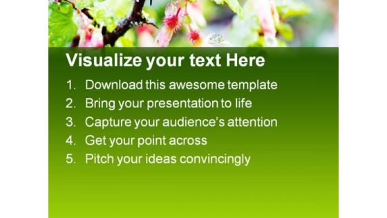 Gooseberry Blossoms In Snow Nature PowerPoint Themes And PowerPoint Slides 0411