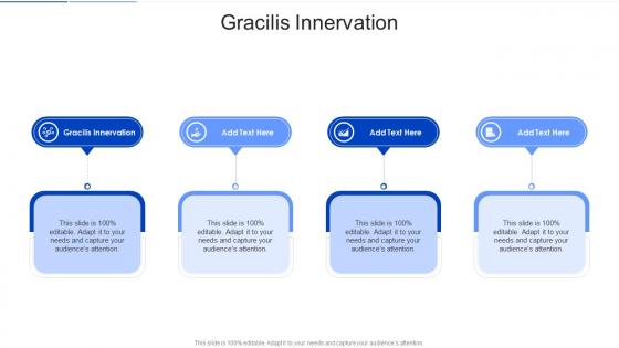 Gracilis Innervation In Powerpoint And Google Slides Cpb