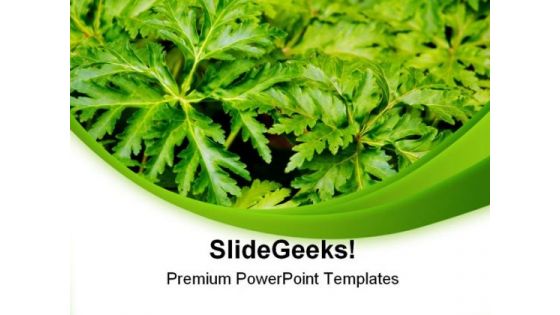 Green Leaves Nature PowerPoint Templates And PowerPoint Backgrounds 0311
