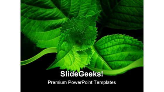 Green Spiral Leaves Nature PowerPoint Templates And PowerPoint Backgrounds 0511