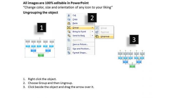 Hierarchical Many To One Organization Chart Ppt Software For Business Plan PowerPoint Slides