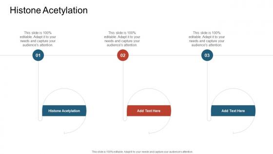 Histone Acetylation In Powerpoint And Google Slides Cpb Histone Acetylation In Powerpoint And Google Slides Cpb
