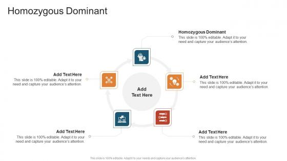 Homozygous Dominant In Powerpoint And Google Slides Cpb Homozygous Dominant In Powerpoint And Google Slides Cpb