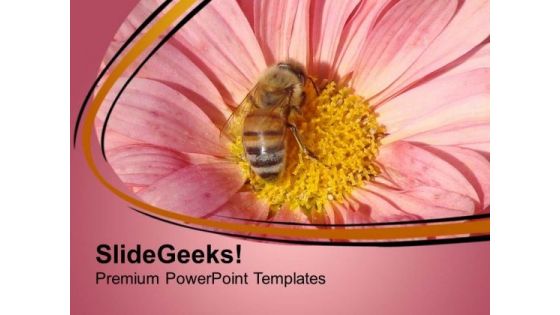 Honey Bee Sucking Nector Of Flower PowerPoint Templates Ppt Backgrounds For Slides 0513