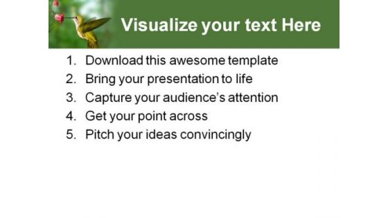 Humming Bird Animals PowerPoint Template 0910