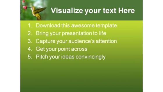 Humming Bird Animals PowerPoint Template 0910