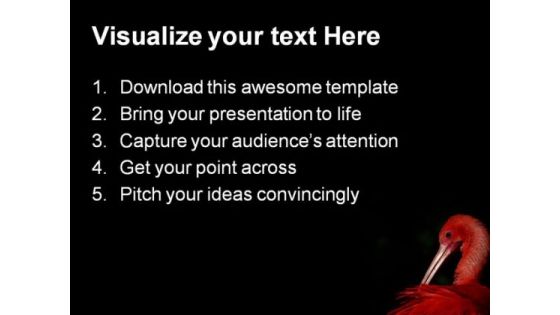 Ibis Animals PowerPoint Themes And PowerPoint Slides 0211