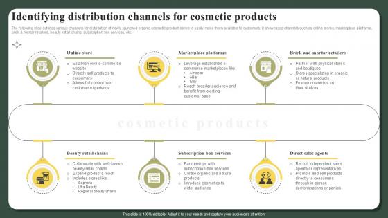 Identifying Distribution Channels For Cosmetic Products Successful Launch Ppt Powerpoint