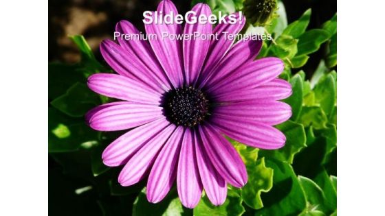 Image Of Gerbera Flower With Green Leaves PowerPoint Templates Ppt Backgrounds For Slides 1212