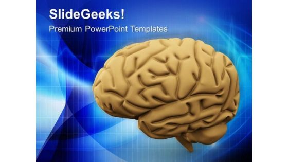 Image Of Human Brain PowerPoint Templates Ppt Backgrounds For Slides 0713