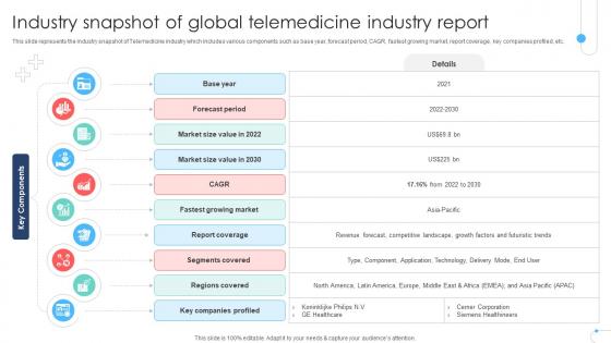 Industry Snapshot Of Global Telemedicine Industry Report Remote Healthcare Services IR SS V