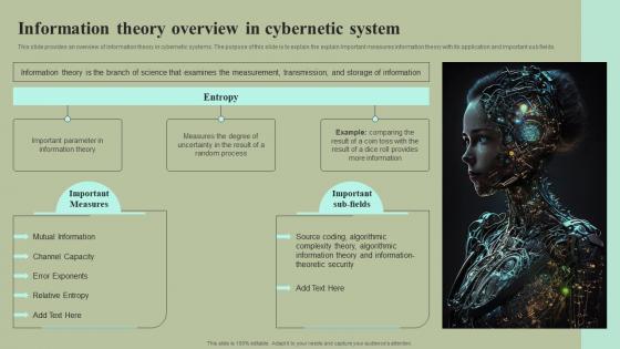 Information Theory Overview In Cybernetic System Cybernetic Integration Inspiration Pdf