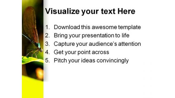 Insect Macro Laos Animals PowerPoint Themes And PowerPoint Slides 0211