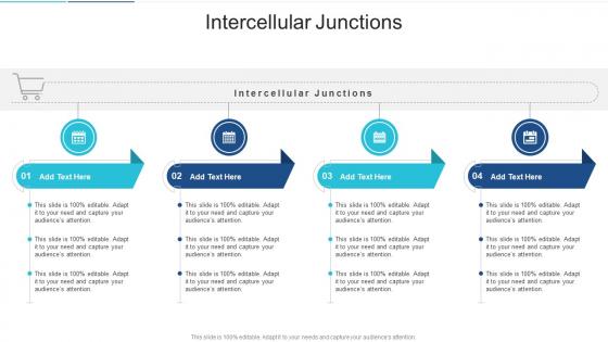 Intercellular Junctions In Powerpoint And Google Slides Cpb