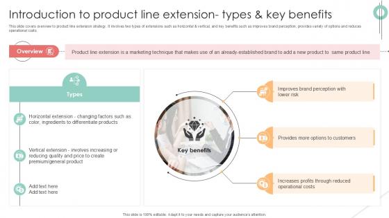 Introduction To Product Line Implementing Product Diversification PPT Example Strategy SS V