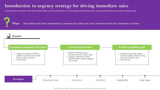 Introduction To Urgency Strategy For Driving Sales Techniques For Achieving Structure Pdf