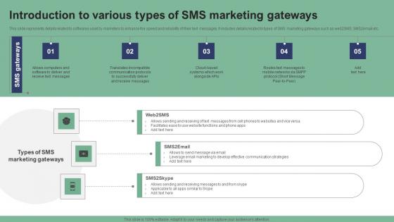 Introduction To Various Types Of SMS Marketing Text Message Marketing Strategies Sample Pdf