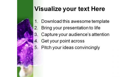 Iris Bud Nature PowerPoint Templates And PowerPoint Backgrounds 0311