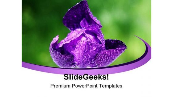 Iris Bud Nature PowerPoint Templates And PowerPoint Backgrounds 0311