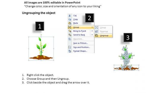Isolated Money Growing On Trees PowerPoint Slides And Ppt Diagram Templates