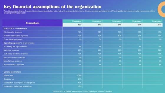 Key Financial Assumptions Of The Organization Drop Shipping Business Plan Pictures Pdf