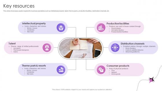 Key Resources Theme Park And Attractions Providing Company Business Model BMC SS V