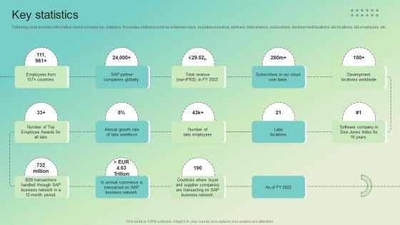 Key Statistics Enterprise Software Solution Providing Company Profile CP SS V