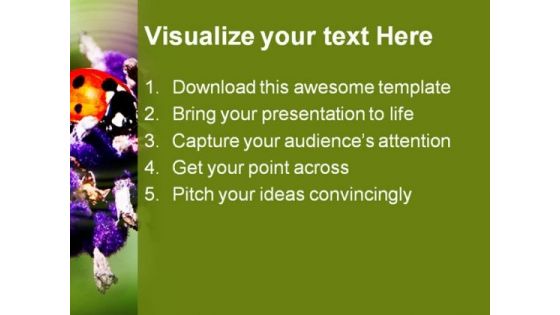 Lady Bird Animals PowerPoint Templates And PowerPoint Backgrounds 0311