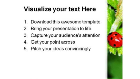 Lady Bird On Plant Nature PowerPoint Themes And PowerPoint Slides 0211