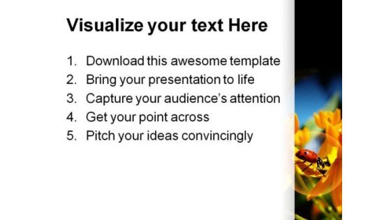 Lady Bug On Yellow Flowers Beauty PowerPoint Templates And PowerPoint Backgrounds 0211