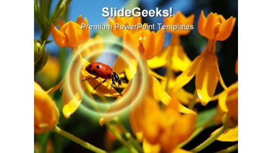 Ladybug Animal PowerPoint Template 1110