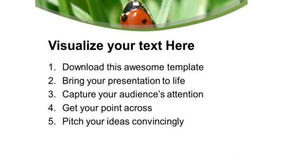 Ladybug On The Grass PowerPoint Templates Ppt Backgrounds For Slides 0713