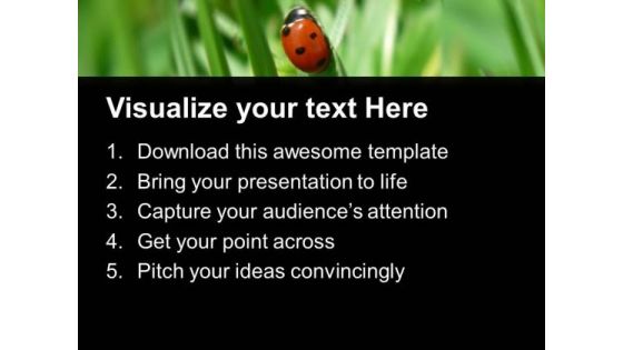 Ladybug Showa Luck And Prosperty PowerPoint Templates Ppt Backgrounds For Slides 0513