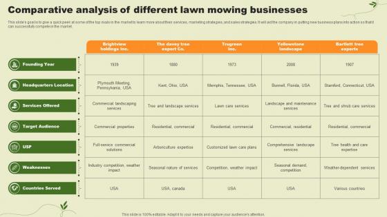 Lawn Care Services Business Plan Comparative Analysis Of Different Lawn Mowing Businesses BP SS V