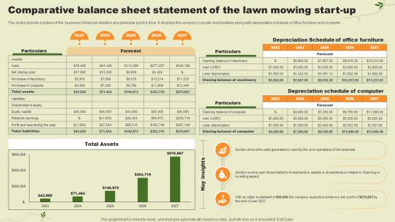 Lawn Care Services Business Plan Comparative Balance Sheet Statement Of The Lawn Mowing Start BP SS V