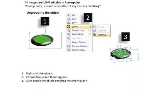 Leaf On Stone PowerPoint Slides And Ppt Diagram Templates