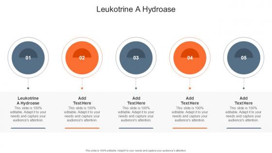 Leukotrine A Hydroase In Powerpoint And Google Slides Cpb Leukotrine A Hydroase In Powerpoint And Google Slides Cpb