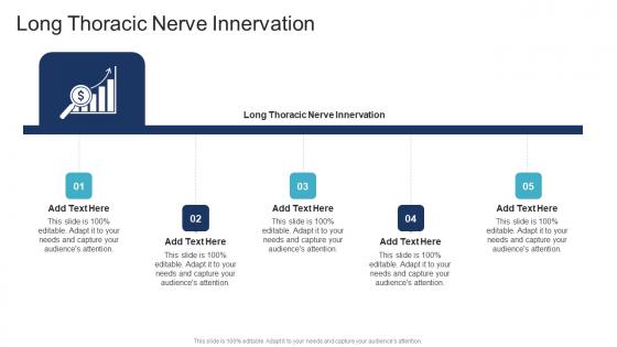 Long Thoracic Nerve Innervation In Powerpoint And Google Slides Cpb