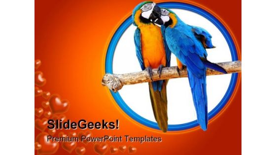 Love Parrots Animals PowerPoint Backgrounds And Templates 1210