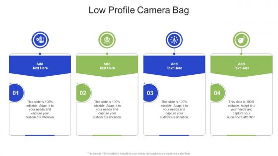 Low Profile Camera Bag In Powerpoint And Google Slides Cpb