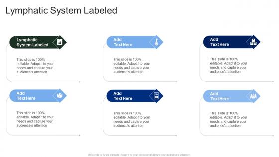 Lymphatic System Labeled In Powerpoint And Google Slides Cpb