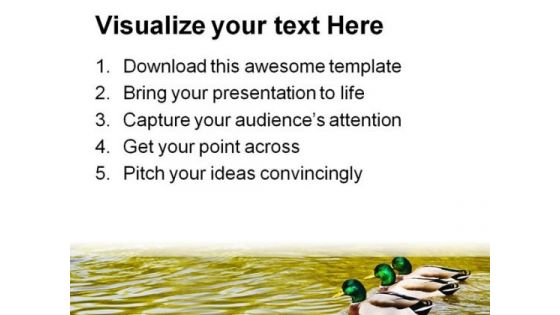 Mallard Duck Family PowerPoint Templates And PowerPoint Backgrounds 0211