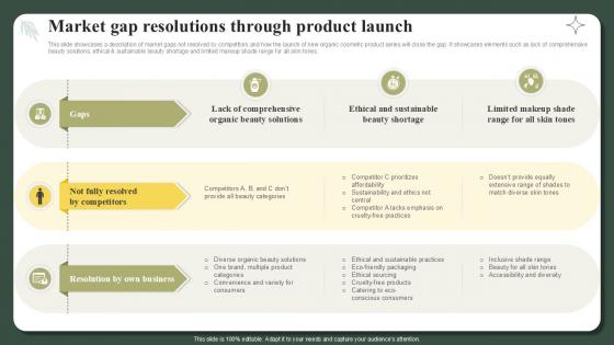 Market Gap Resolutions Through Product Launch Successful Launch Ppt Slide