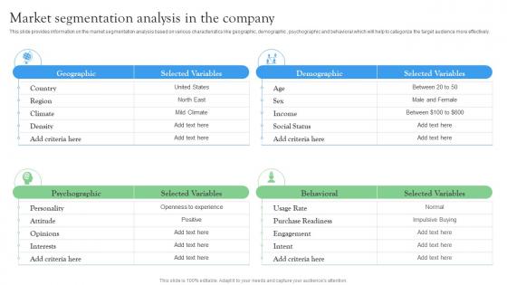 Market Segmentation Analysis In The Company Startup Investment Sources Elements Pdf