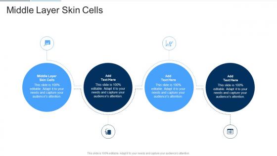 Middle Layer Skin Cells In Powerpoint And Google Slides Cpb