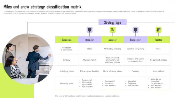 Miles And Snow Strategy Classification Matrix Sample Pdf Miles And Snow Strategy Classification Matrix Sample Pdf