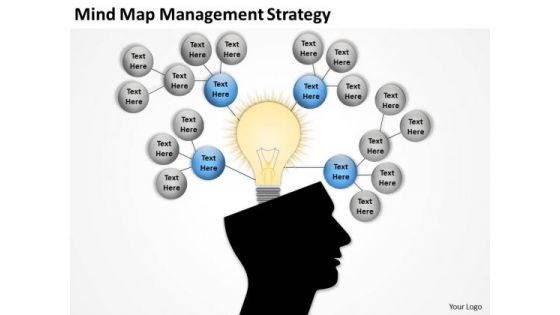 Mind Map Management Strategy Ppt Business Plan Template PowerPoint Slides